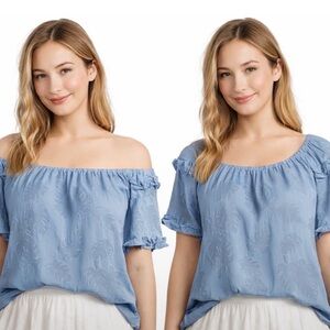 NWT $69 Slim Factor by Investments “Heidi” Textured Blouse – Blue/Grey